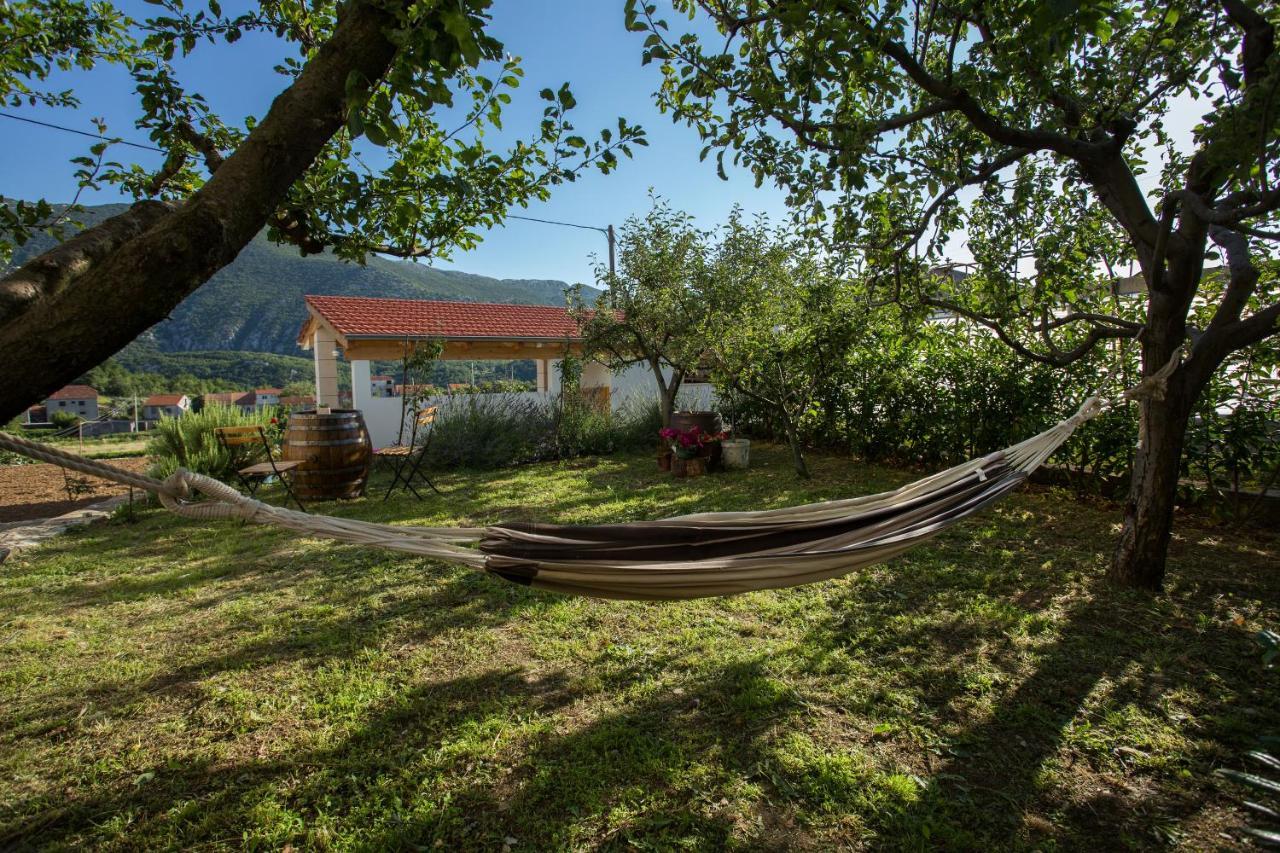Holiday Village Home Kamenica Kostanje Εξωτερικό φωτογραφία
