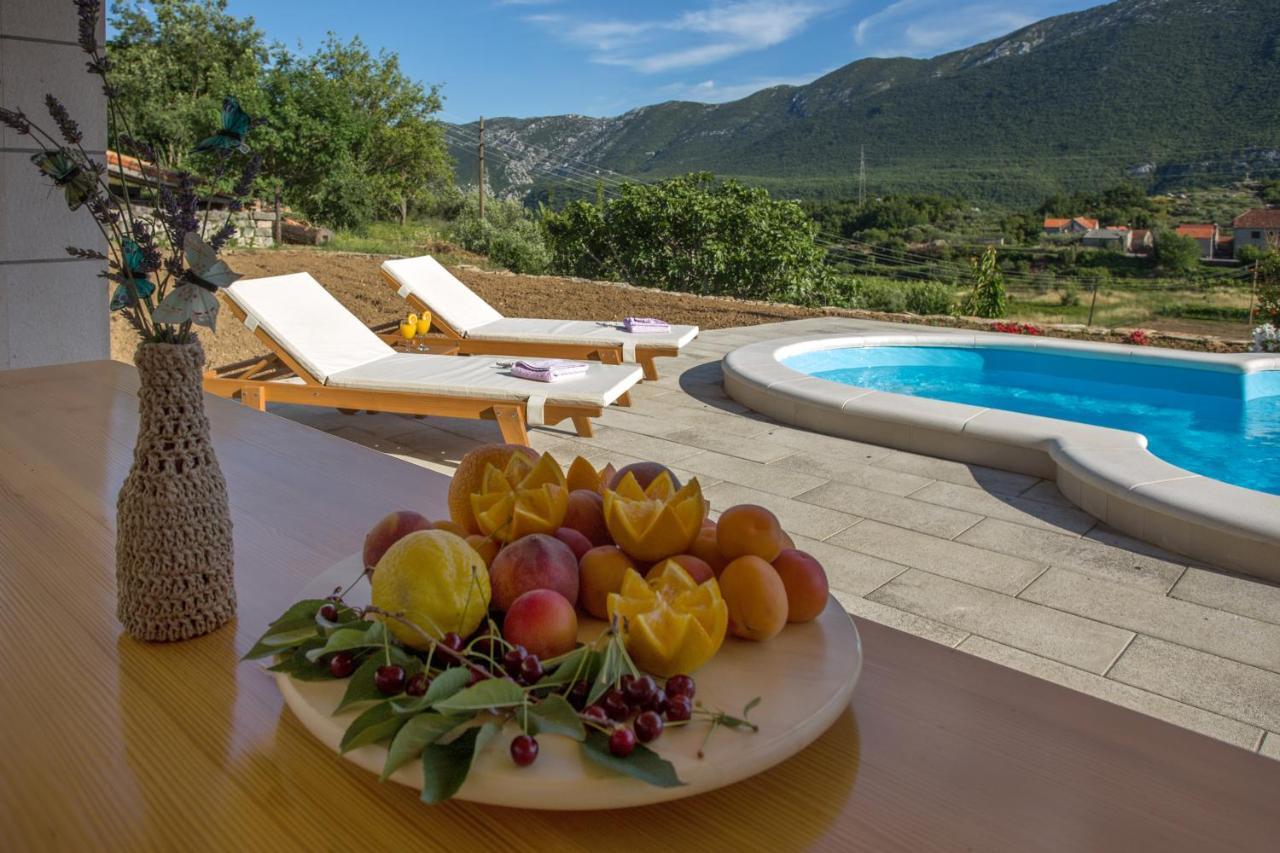 Holiday Village Home Kamenica Kostanje Εξωτερικό φωτογραφία